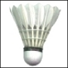 Badminton